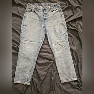 Curvy High Rise Jeans